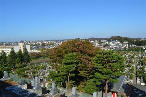 墓地 風水|お墓の近く・見える土地や家は風水的にNG？神社や。